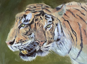 Chris Simonite Study for a Tiger